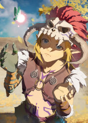 link from the legend of zelda