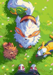 arcanine from pokemon