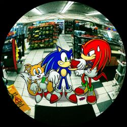 knuckles the echidna from sonic (series)