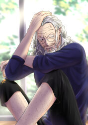 silvers rayleigh from one piece by musasabiop