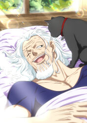 silvers rayleigh from one piece by musasabiop