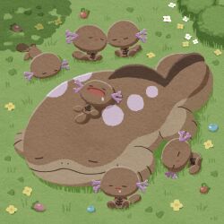 clodsire from pokemon