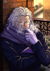 silvers rayleigh from one piece by musasabiop