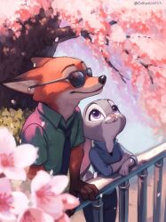judy hopps from zootopia by tomoe (shoushou781)
