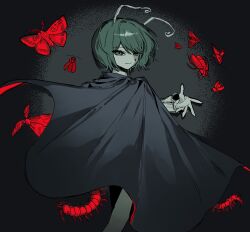 wriggle nightbug from touhou