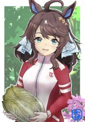 daring tact (umamusume) from umamusume