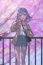 koseki bijou from hololive