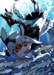 atlantic puffin (kemono friends) from kemono friends