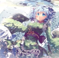 wakasagihime from touhou