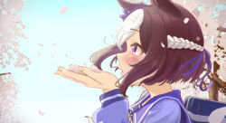 special week (umamusume) from umamusume