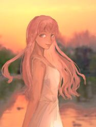 nikki (nikki) from nikki (series)