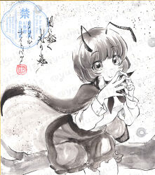 wriggle nightbug from touhou
