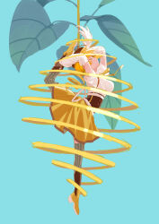 tomoe mami from mahou shoujo madoka magica