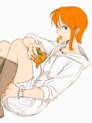 nami (one piece) from one piece