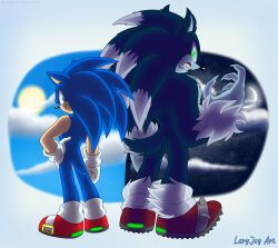 sonic the hedgehog from sonic (series)