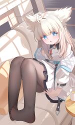 perlica (arknights) from arknights