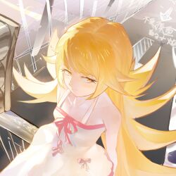 oshino shinobu from monogatari (series)