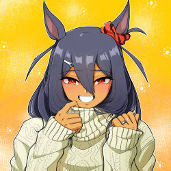 hishi amazon (umamusume) from umamusume