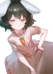 inaba tewi from touhou