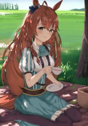 mejiro bright (umamusume) from umamusume