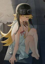 oshino shinobu from monogatari (series)