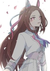 sakura bakushin o (umamusume) from umamusume