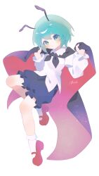 wriggle nightbug from touhou
