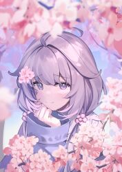koseki bijou from hololive