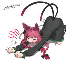 kaenbyou rin from touhou