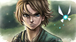 link from the legend of zelda