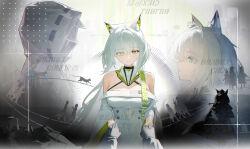 amiya (arknights) from arknights