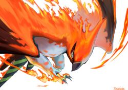 talonflame from pokemon