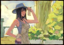 nico robin from one piece