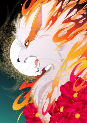 arcanine from pokemon