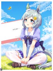 seiun sky (umamusume) from umamusume