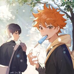 hinata shouyou from haikyuu!!
