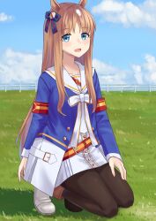 grass wonder (umamusume) from umamusume