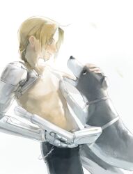 edward elric from fullmetal alchemist