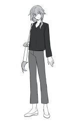 fu hua from honkai (series)