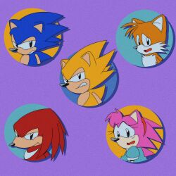 amy rose from sonic (series)
