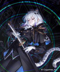 shadowverse fan art