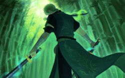 roronoa zoro from one piece