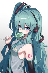 hatsune miku from vocaloid
