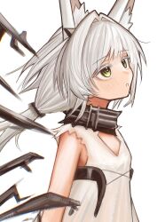 rosmontis (arknights) from arknights