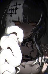 shiori novella from hololive