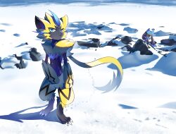 riolu from pokemon