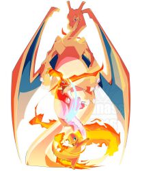 charizard from pokemon