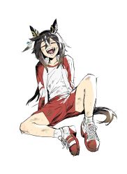 stay gold (umamusume) from umamusume by dreamcatcher