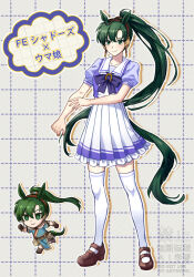 lyn (fire emblem) from fire emblem