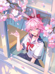 evanescia (honkai: star rail) from honkai (series)